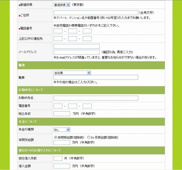 プランネルフリーローン50の申し込み入力画面2