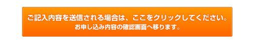 プランネルフリーローン50の申し込み入力画面送信ボタン